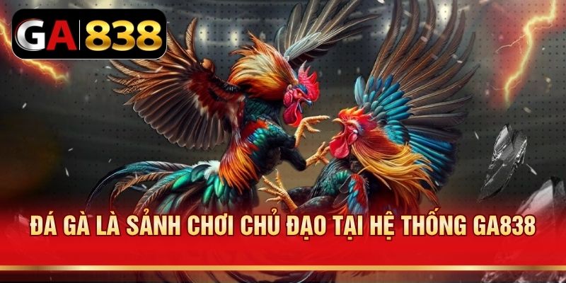 Đá gà là sảnh chơi chủ đạo tại hệ thống GA838