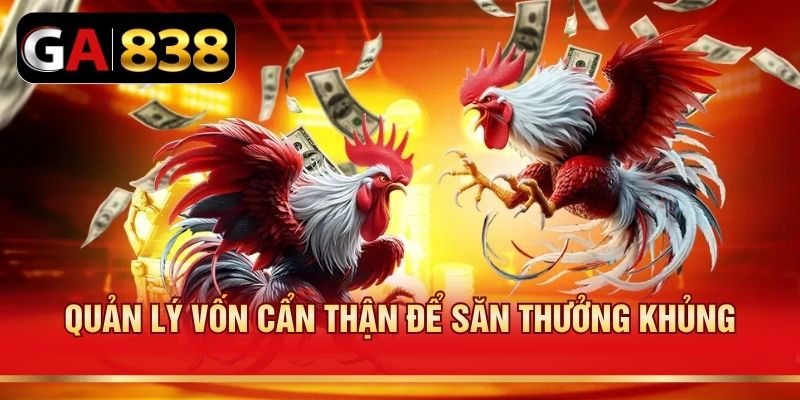 Quản lý vốn cẩn thận để săn thưởng khủng