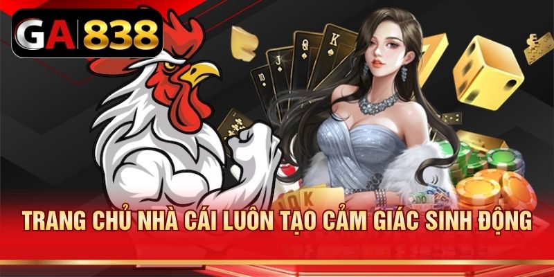 Trang chủ nhà cái luôn tạo cảm giác sinh động